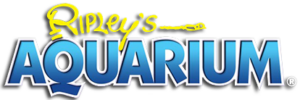 Ripleys Aquarium Ripleys Aquarium