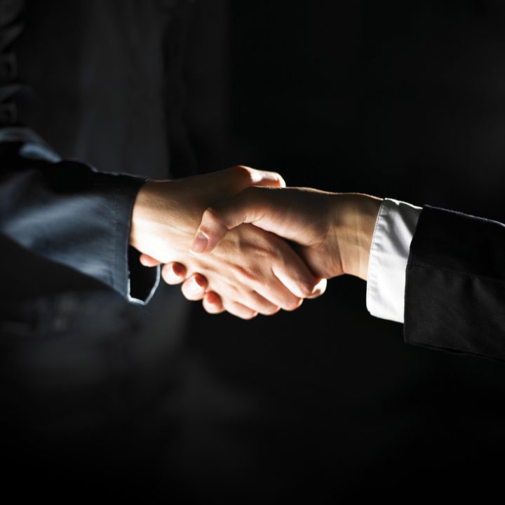 business people shaking hands in a partnership agreement