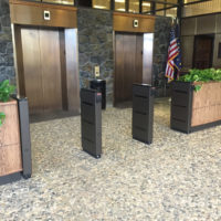 ClearPass CP3000 Barrier-Free Optical Turnstile