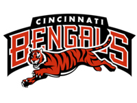 CinnciBengals-small